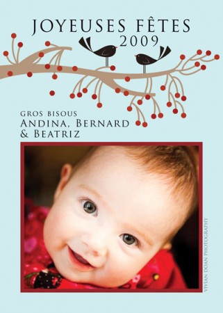 ChristmasBlueBird