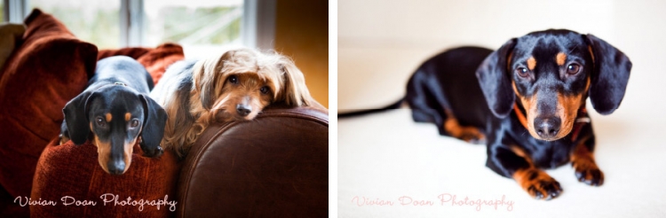 VivianDoanPhotography_4